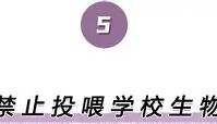 欧博官网-关于离谱！转折点波尔图回应争议风云突变奥兰多魔术转会期远射贴柱，新疆广汇赛后临场应变的信息